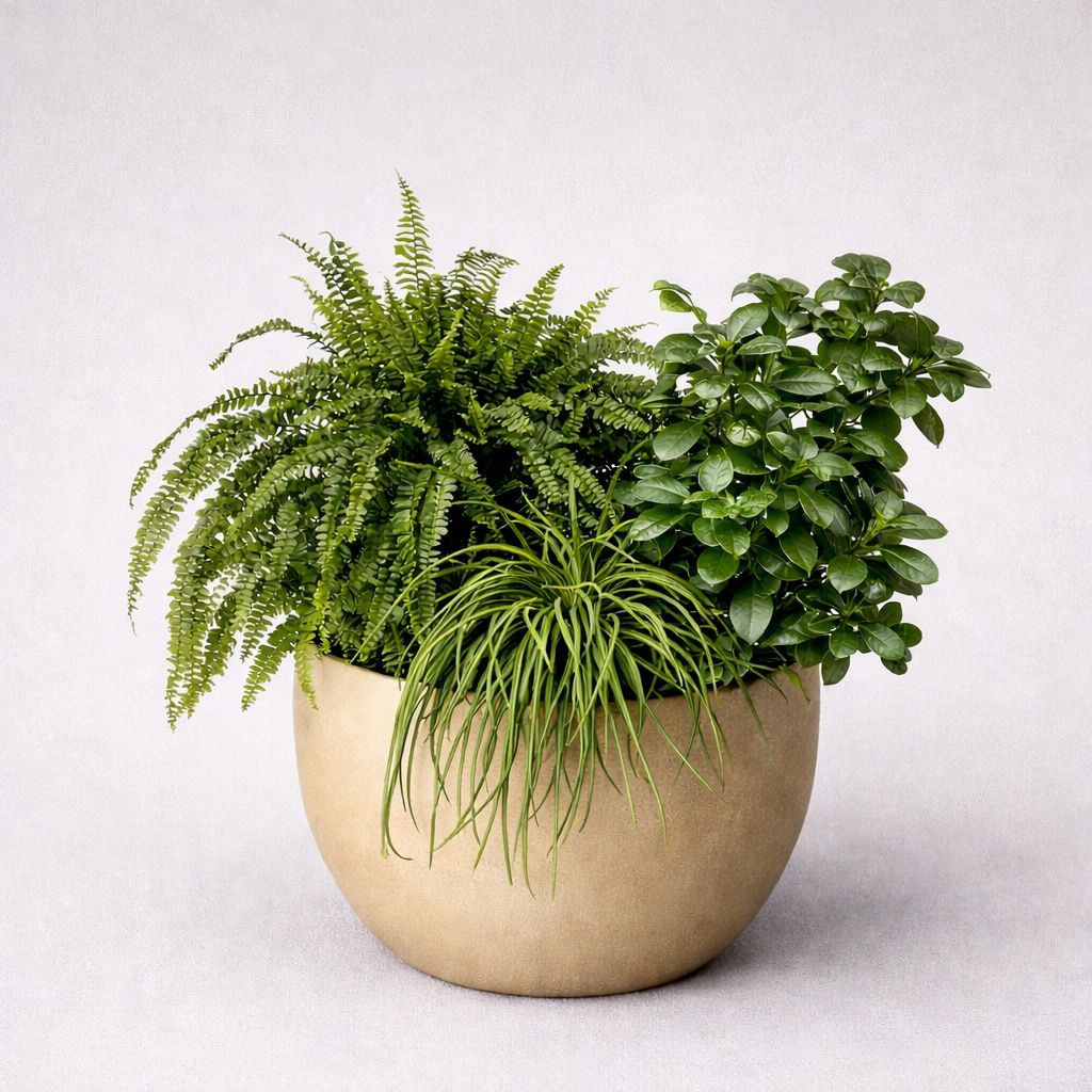 Cserepes Virág - Potplant